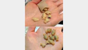 붕어빵 30개 천원, “왠지 모르게 속은 느낌!”