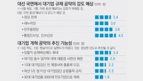 “대기업 때리기 공약 대선때 더 심해질 것”