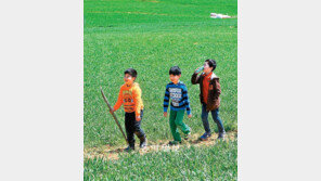 [전북]싱그러운 보리밭… 싱그러운 동심