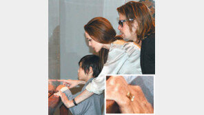 ‘브랜젤리나’ 커플 7년만에 공식 결혼… 날짜-장소는 아직 안정해