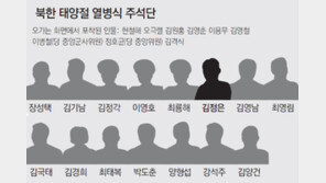 [北 김정은 시대 개막 쇼]김정은 옆에 최룡해… 軍 최고 실세로