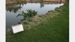 해저드 모면한 ‘서희경 돌’을 아시나요?