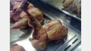 통닭의 마지막 하이킥 “괜시리 씁쓸하네요…”