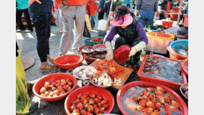 [부산/경남]제철 만난 멍게, 입맛 당기는구나