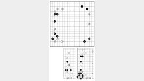 [바둑]제56기 국수전… 유행포석의 대결