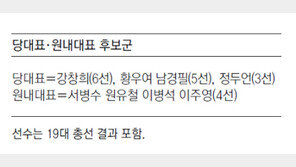 새누리 당권 경쟁 점화… 안정론 vs 쇄신론 vs 화합론