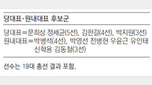 민주 새 원내대표는 ‘울트라 파워’… 최정예 주자들 나선다