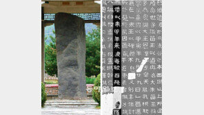 “광개토대왕비문 日帝 변조” 제기한 在日사학자 이진희 와코대 명예교수 별세