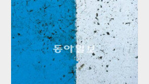 앵글에 담은 순수 추상… 주명덕 전