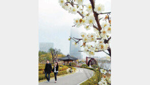 [인천/경기]송도에 봄이 활짝