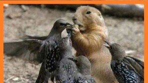 교실에서 맛있는 거 먹을 때 “추억의 군것질 생각나네”