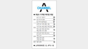 [광주/전남][전북][제주]채널A 지역별 케이블 채널
