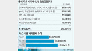 [단독]대기업에 혜택 집중 ‘R&D 세액공제’ 대폭 축소 나선다