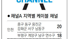 [인천/경기]채널A 지역별 케이블 채널