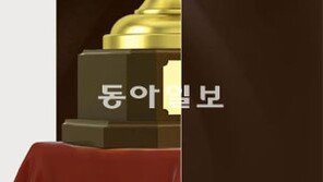 [2012 대한민국 대표브랜드]최고의 브랜드, 경제韓流를 창조한다