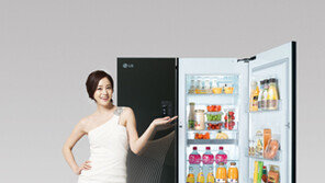 [2012 대한민국 대표브랜드 대상] LG DIOS, 프리미엄 주방가전의 대명사