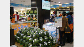 [2012 대한민국 대표브랜드 대상] ‘고창황토배기G’수박, 최고 품질 보장하는 명품수박