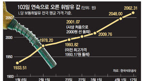 석유 혼합판매 개선… 알뜰주유소 확대… 유류세 인하는 제외