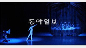 보고… 듣고… ‘백조의 호수’의 재발견