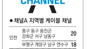 [인천/경기]채널A지역별 케이블 채널