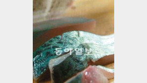 [오늘의 채널A]제주산 고등어 활어회의 진실은?