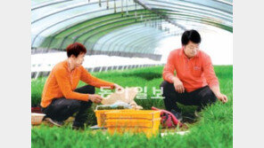 납품농민-입점상인-알바생 ‘새우등’ 터진다