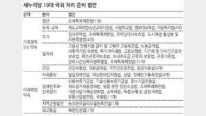 ‘선진화법’ 통과되면 ‘박근혜법’도 산 넘어 산