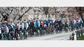 [2012 투르 드 코리아]거친 숨결에 흩날리는 꽃잎… 은륜이 물결친다