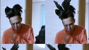 까치 키우는 GD 사진 화제 “합성 실력 대단해!”