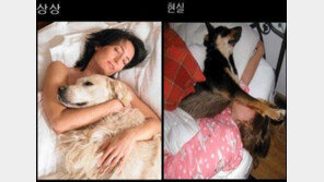 개랑 같이 잠을 잘 때 “상상과 현실은 너무 달라” 폭소