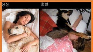 개랑 같이 잠을 잘 때, “저러다 무는 건 아닌지”