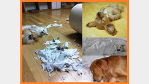 자는 척하는 거 보소, 수준급 ‘발’연기 “미워할 수 없네”