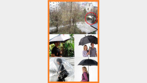 우산 종결자 등장 “들고 다니는 것만으로도 운동 되겠어”