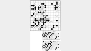 [바둑]제56기 국수전… 89, 보이지 않는 실착 
