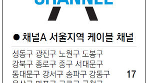[수도권]채널A 서울지역 케이블 채널
