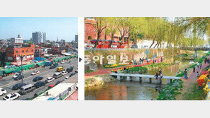 [수도권]수원천, 자연생태하천으로 돌아왔다