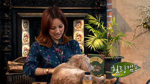 이효리 “사랑받다 버려지는 동물들, 마치 내 모습 보는 것 같아…”