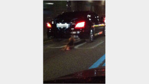 ‘악마 에쿠스 사건’ 동물학대 최고형 500만원?