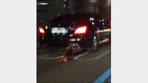 이효리 이어 장우혁도 ‘악마에쿠스’에 분노 “아, 설마?”