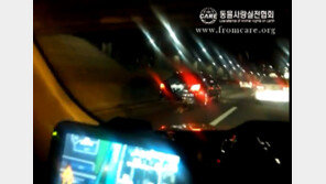 경찰 “‘악마 에쿠스’ 운전자 오늘 소환”…결과는?