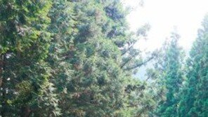 [광주/전남]전남 장성 “전국서 공기 가장 깨끗해요”