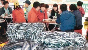 [부산/경남]싱싱한 기장 멸치, 입맛 돋네!