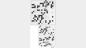 [바둑]제56기 국수전… 113, 115는 실착