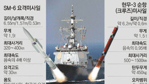 “세종대왕함에 ‘주먹’을 달자”