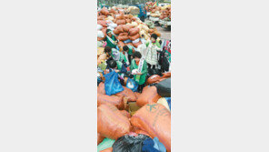 백화점 차릴 만큼 모인 재활용 의류