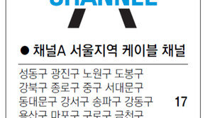 [수도권]채널A 서울지역 케이블 채널