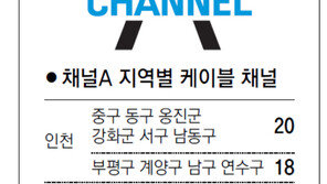 [인천/경기]채널A 지역별 케이블 채널