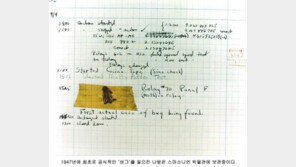 사용자들을 당황하게 만드는 컴퓨터 프로그램의 오류 - 버그(Bug)