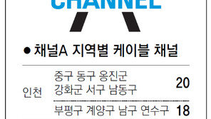 [인천/경기]채널A 지역별 케이블 채널