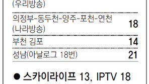 [수도권]채널A 서울지역 케이블 채널